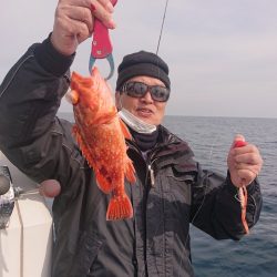 ARCADIAⅡ (アルカディアⅡ) 釣果