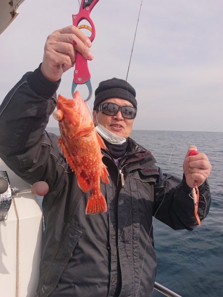 ARCADIAⅡ (アルカディアⅡ) 釣果