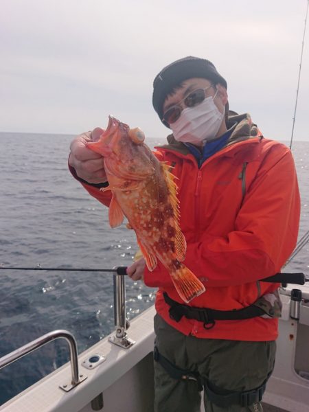 ARCADIAⅡ (アルカディアⅡ) 釣果