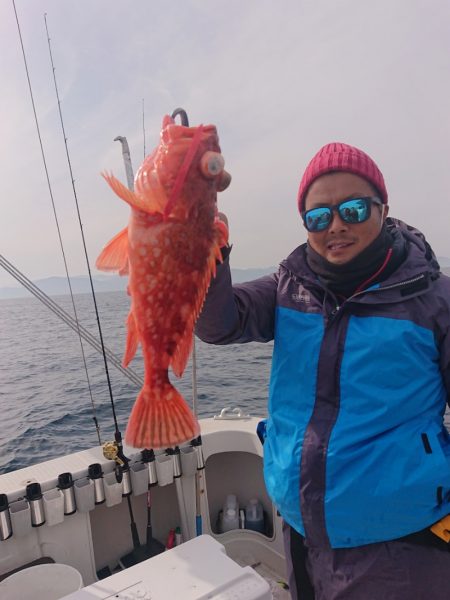 ARCADIAⅡ (アルカディアⅡ) 釣果