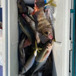 海龍丸（石川） 釣果