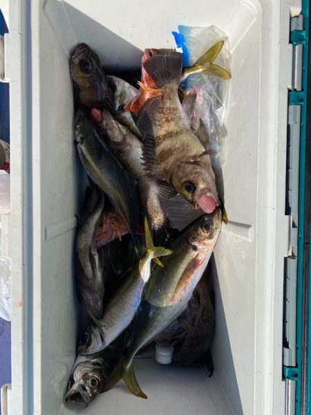 海龍丸（石川） 釣果