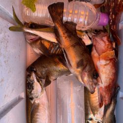 海龍丸（石川） 釣果