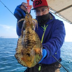 ソルトウォーターガイドフレンズ 釣果