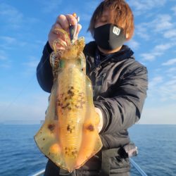 ソルトウォーターガイドフレンズ 釣果