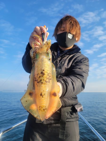 ソルトウォーターガイドフレンズ 釣果