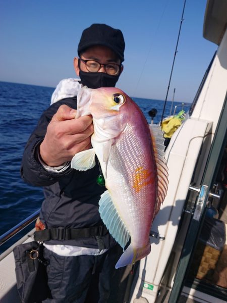 ARCADIAⅡ （アルカディアⅡ） 釣果