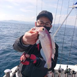 ARCADIAⅡ （アルカディアⅡ） 釣果