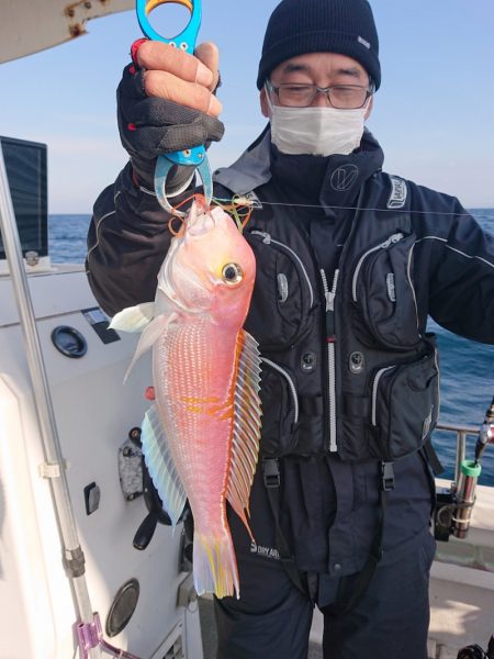 ARCADIAⅡ （アルカディアⅡ） 釣果