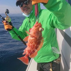 ARCADIAⅡ （アルカディアⅡ） 釣果