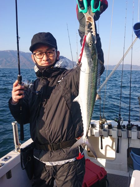 ARCADIAⅡ （アルカディアⅡ） 釣果