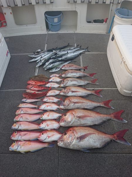 ARCADIAⅡ （アルカディアⅡ） 釣果