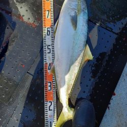 第二龍勢丸 釣果