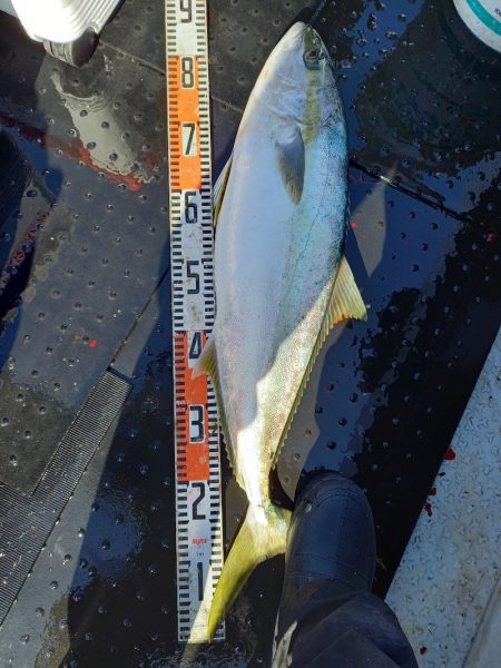 第二龍勢丸 釣果