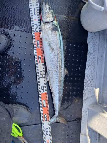 第二龍勢丸 釣果