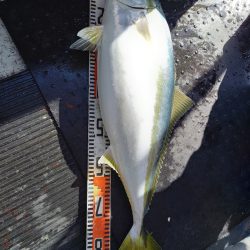 第二龍勢丸 釣果