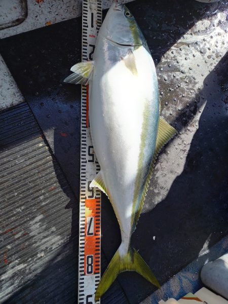 第二龍勢丸 釣果