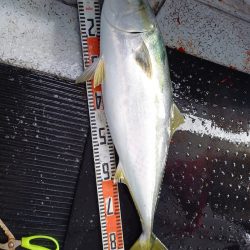 第二龍勢丸 釣果