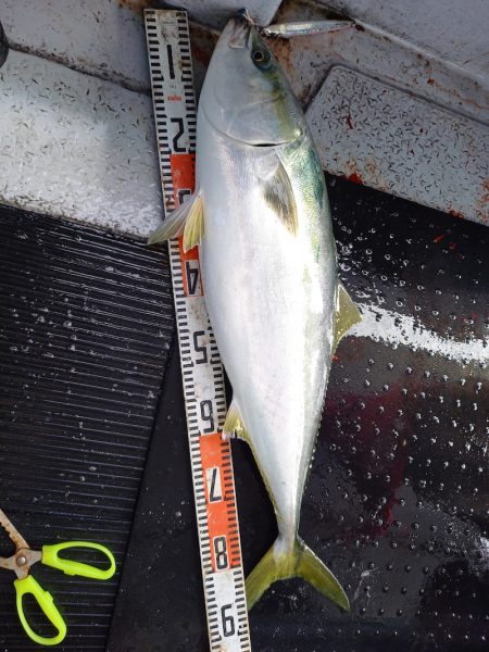 第二龍勢丸 釣果