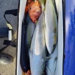 第二龍勢丸 釣果