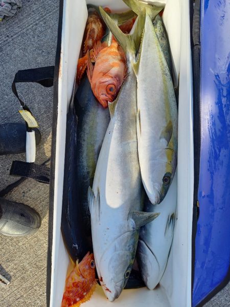 第二龍勢丸 釣果