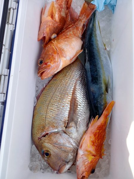 第二龍勢丸 釣果