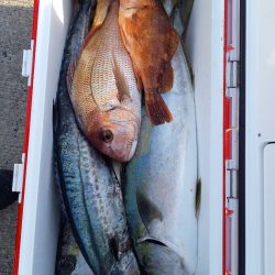 第二龍勢丸 釣果