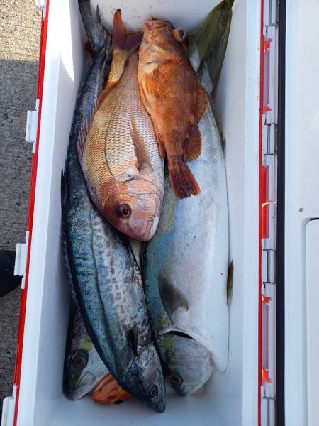 第二龍勢丸 釣果