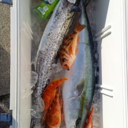 第二龍勢丸 釣果