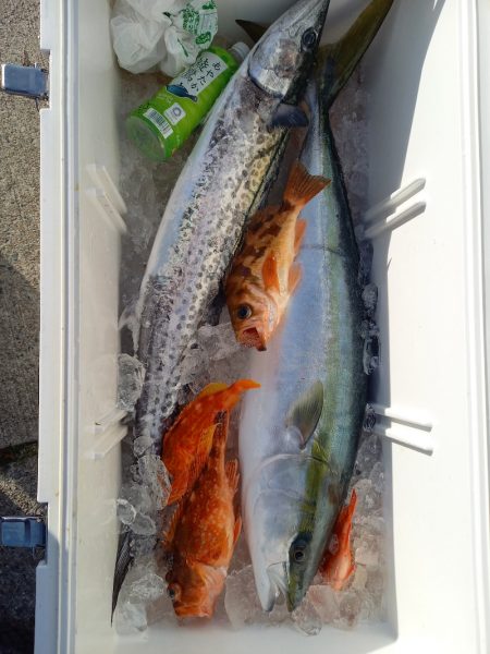 第二龍勢丸 釣果