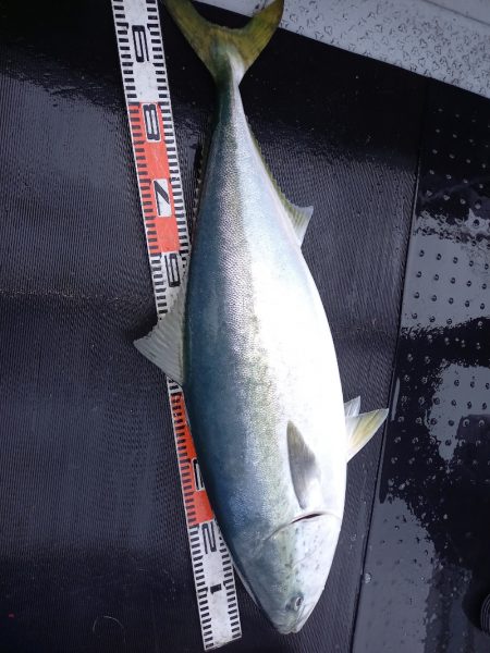 第二龍勢丸 釣果