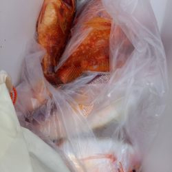 第二龍勢丸 釣果