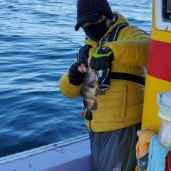 海龍丸（石川） 釣果