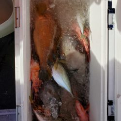 海龍丸（石川） 釣果