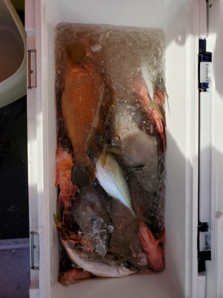 海龍丸（石川） 釣果