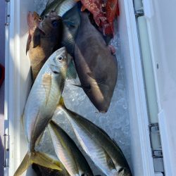 海龍丸（石川） 釣果