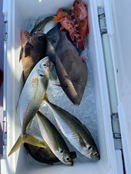海龍丸（石川） 釣果