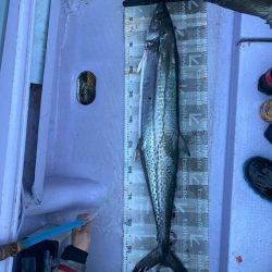 海龍丸（石川） 釣果