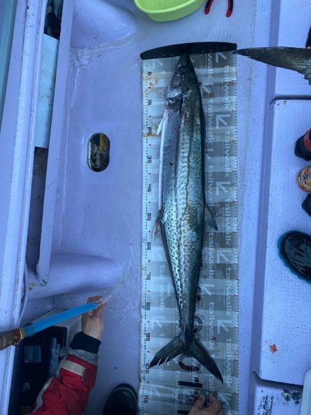 海龍丸（石川） 釣果