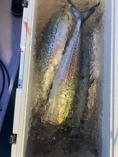 海龍丸（石川） 釣果