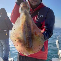 ソルトウォーターガイドフレンズ 釣果