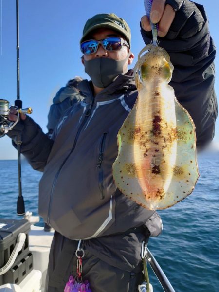 ソルトウォーターガイドフレンズ 釣果