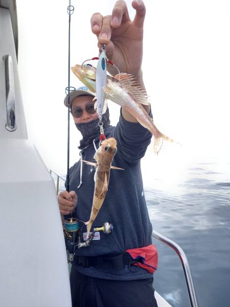 アマテラス 釣果