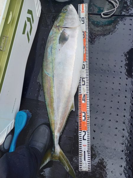 第二龍勢丸 釣果