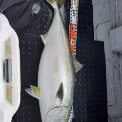 第二龍勢丸 釣果