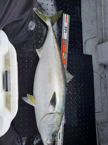 第二龍勢丸 釣果