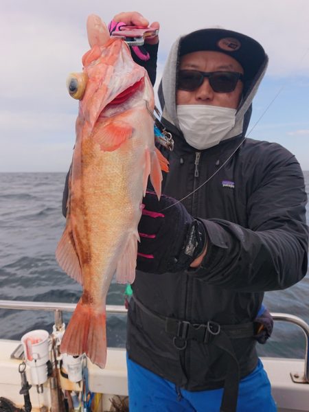 ARCADIAⅡ (アルカディアⅡ) 釣果