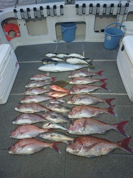 ARCADIAⅡ (アルカディアⅡ) 釣果