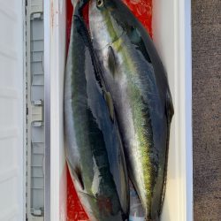 第二龍勢丸 釣果