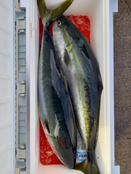 第二龍勢丸 釣果